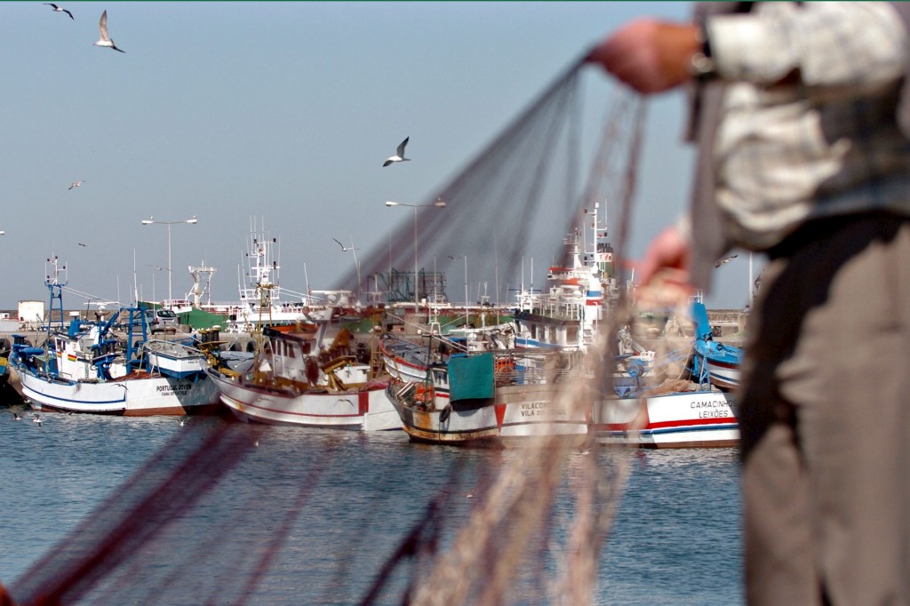 Comerciantes de peixe boicotam lota de Viana em protesto contra ... - Rádio Alto Minho (liberação de imprensa) (Inscrição)