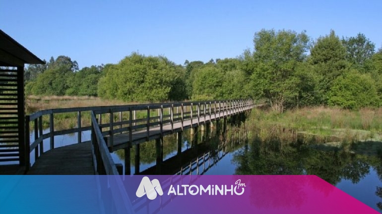 Ponte De Lima Cria Regulamento Para Rea De Paisagem Protegida Das