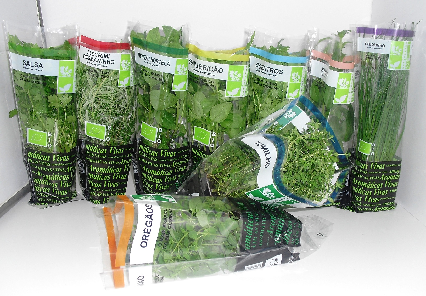 Empresa Aromáticas Vivas de Viana vence prémio nacional do Intermarché