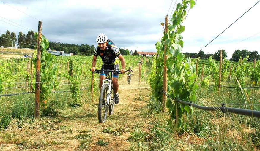 Cerca de 300 participantes na 2ª Maratona BTT Berço do Alvarinho em Monção