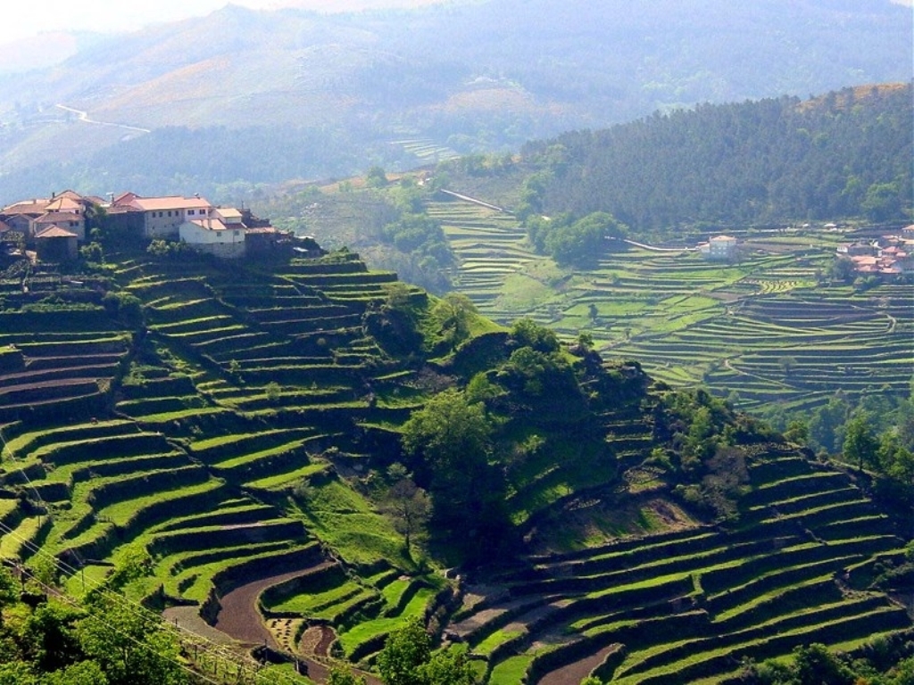 Câmara de Arcos de Valdevez dá início a classificação de aldeia Sistelo como Paisagem Cultural