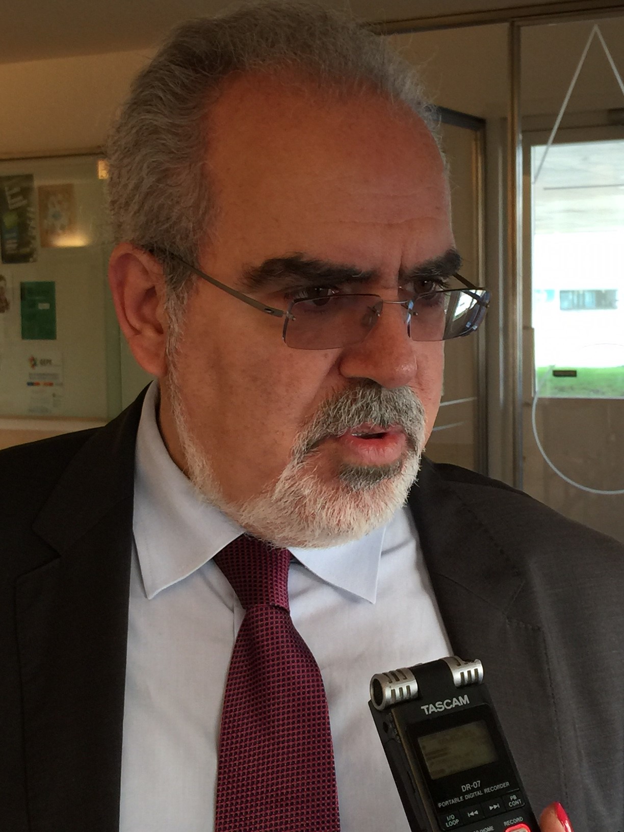 Viana perdeu 30% de floresta com os fogos e quer que Governo imponha limites à plantação de eucaliptos