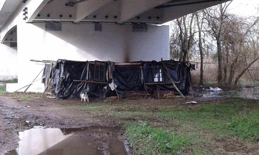 Sem-abrigo que vive debaixo da ponte de Lanheses pede casa para poder ter os cães
