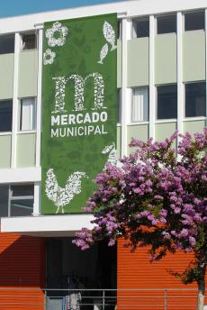 Mercado Municipal de Viana vai ser adaptado para receber incubadora de empresas