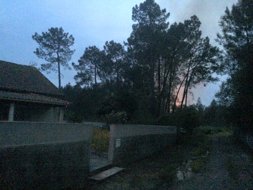 Incêndio em Alvarães extinto após quase três horas de combate
