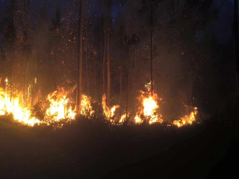 Incêndio em Alvarães extinto após quase três horas de combate