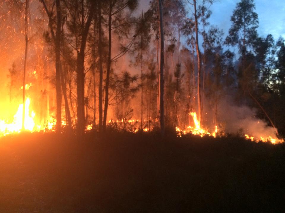 Incêndio em Alvarães extinto após quase três horas de combate