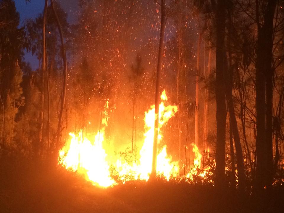 Incêndio em Alvarães extinto após quase três horas de combate