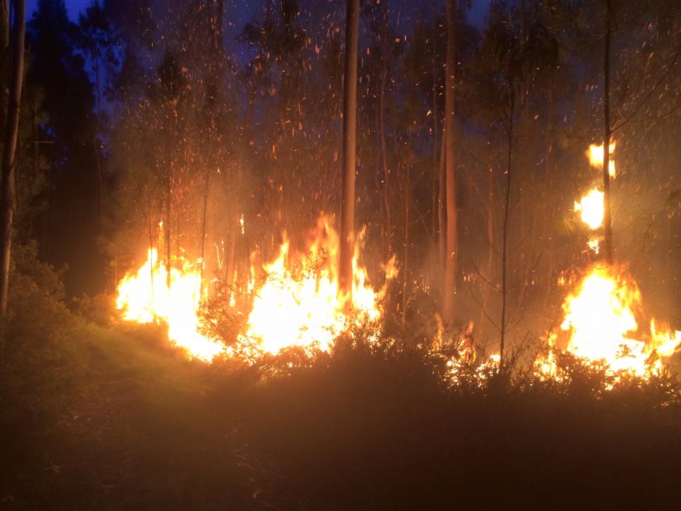 Incêndio em Alvarães extinto após quase três horas de combate