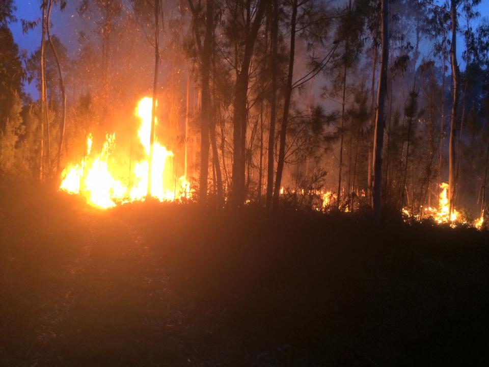 Incêndio em Alvarães extinto após quase três horas de combate