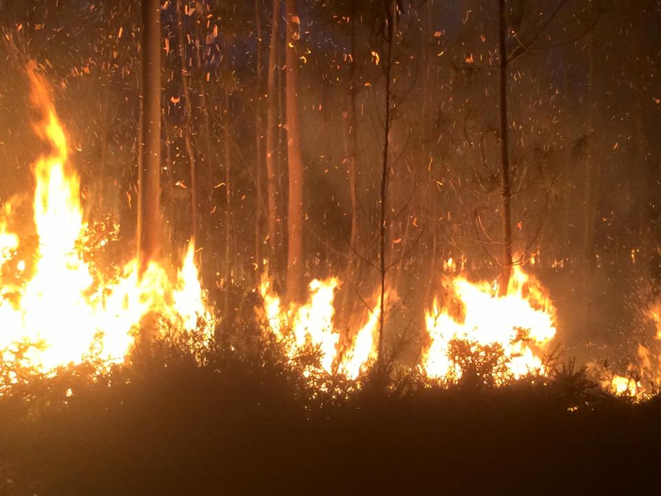 Incêndio em Alvarães extinto após quase três horas de combate
