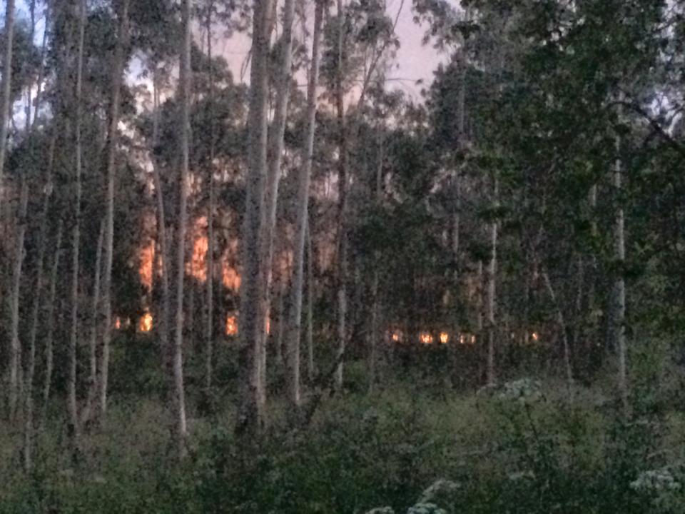 Incêndio em Alvarães extinto após quase três horas de combate