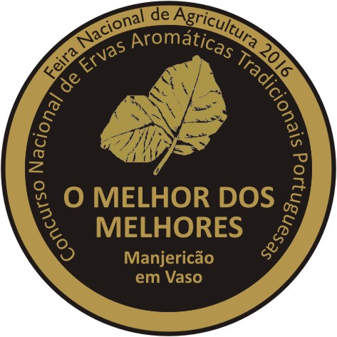 Empresa de Viana ganha medalha de ouro e o prémio “O Melhor dos Melhores”