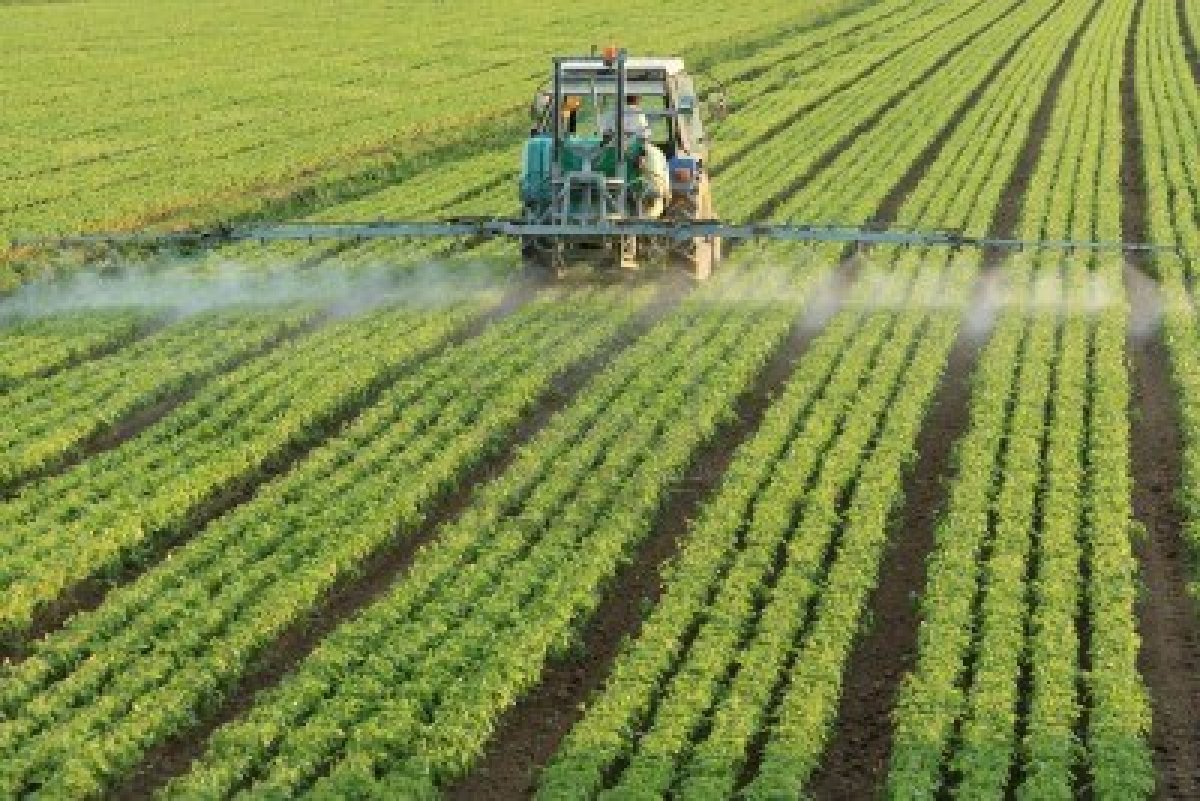Secretário de Estado da Agricultura marca presença em ciclo de conferências em Caminha