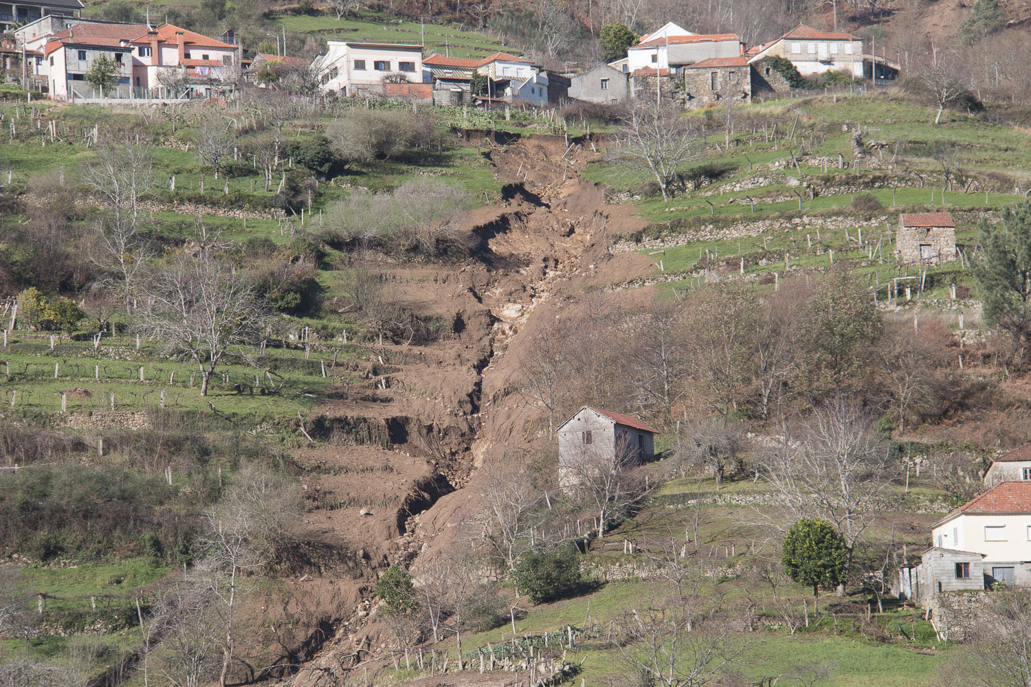 Viticultores de Melgaço afetados pelo temporal podem candidatar-se a apoios do governo