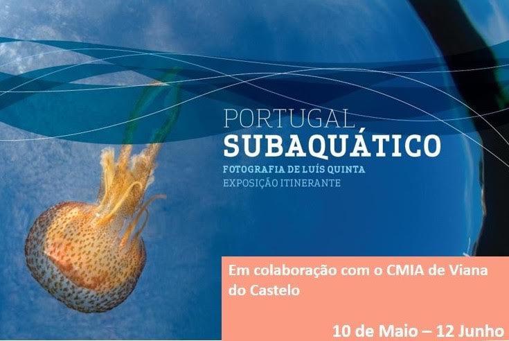 “Portugal subaquático” exposto pela lente de Luís Quinta em Cerveira