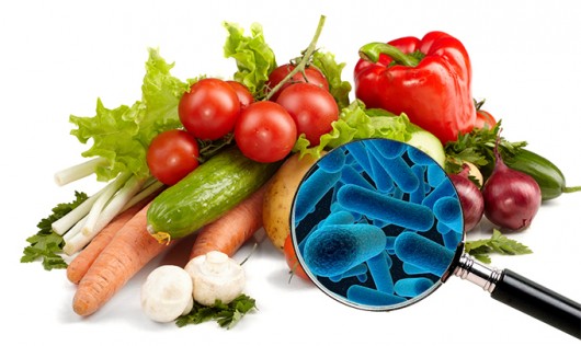 Segurança e Certificação Alimentar em debate no Politécnico de Viana