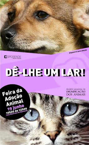 Feira de adoção animal ocupa zona ribeirinha em Esposende