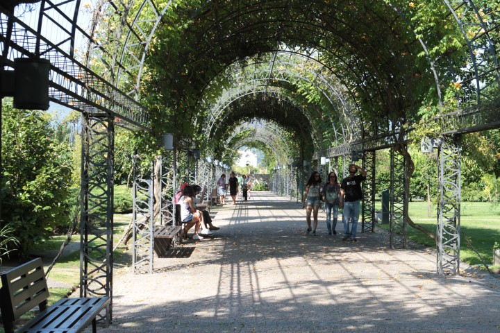 Jardim das Descobertas é o tema de 2017 do festival de Jardins de Ponte de Lima