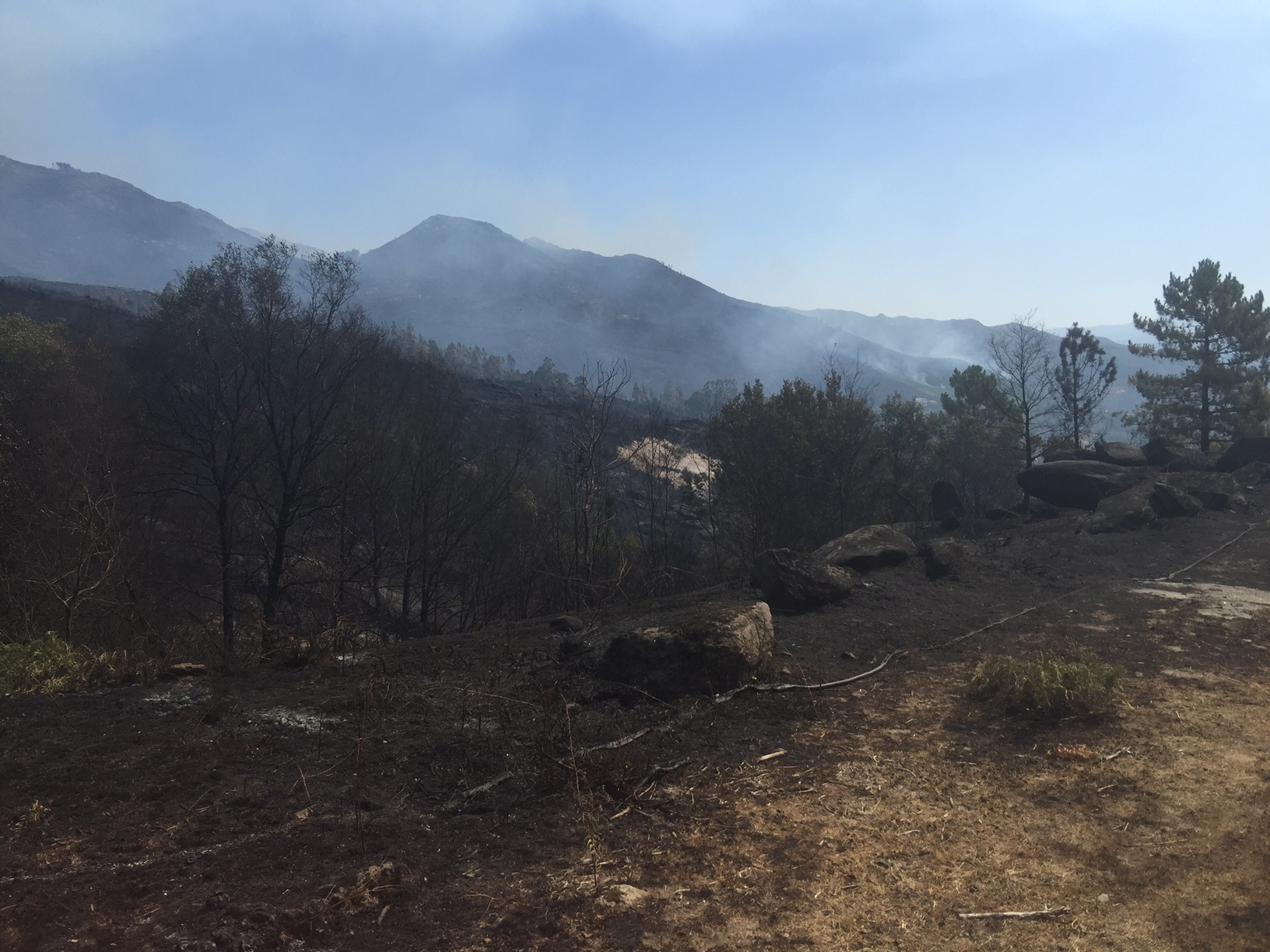 Autarca de Viana diz que situação dos incêndios “está muito complicada” em todo o distrito