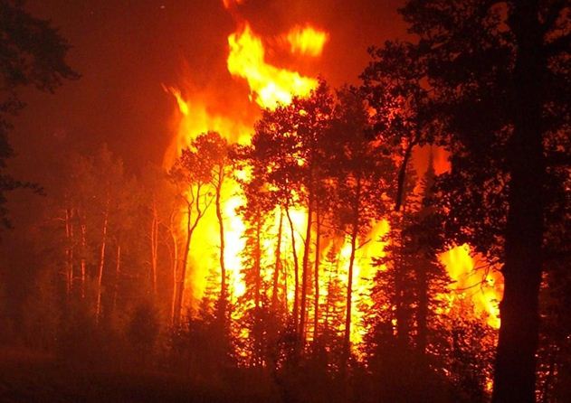 Fogo em Castelo de Neiva extinto às 05:19 da manhã