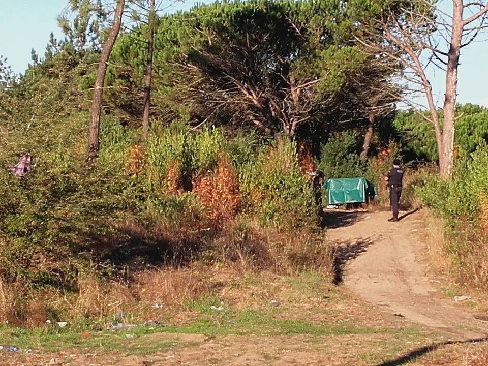 Operação da GNR E PSP de Viana em acampamento de Darque relacionada com furtos