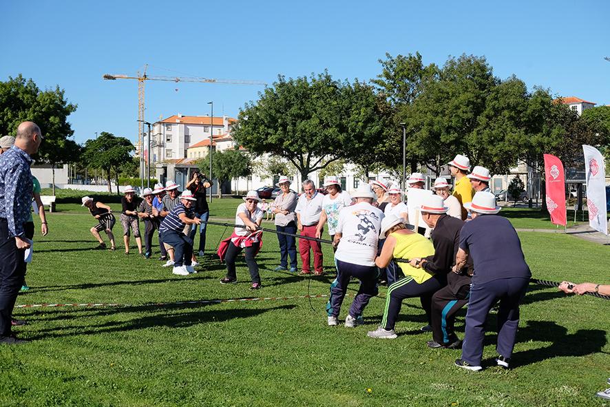 Mais de 220 idosos em atividades desportivas assinalaram Dia Internacional do Idoso