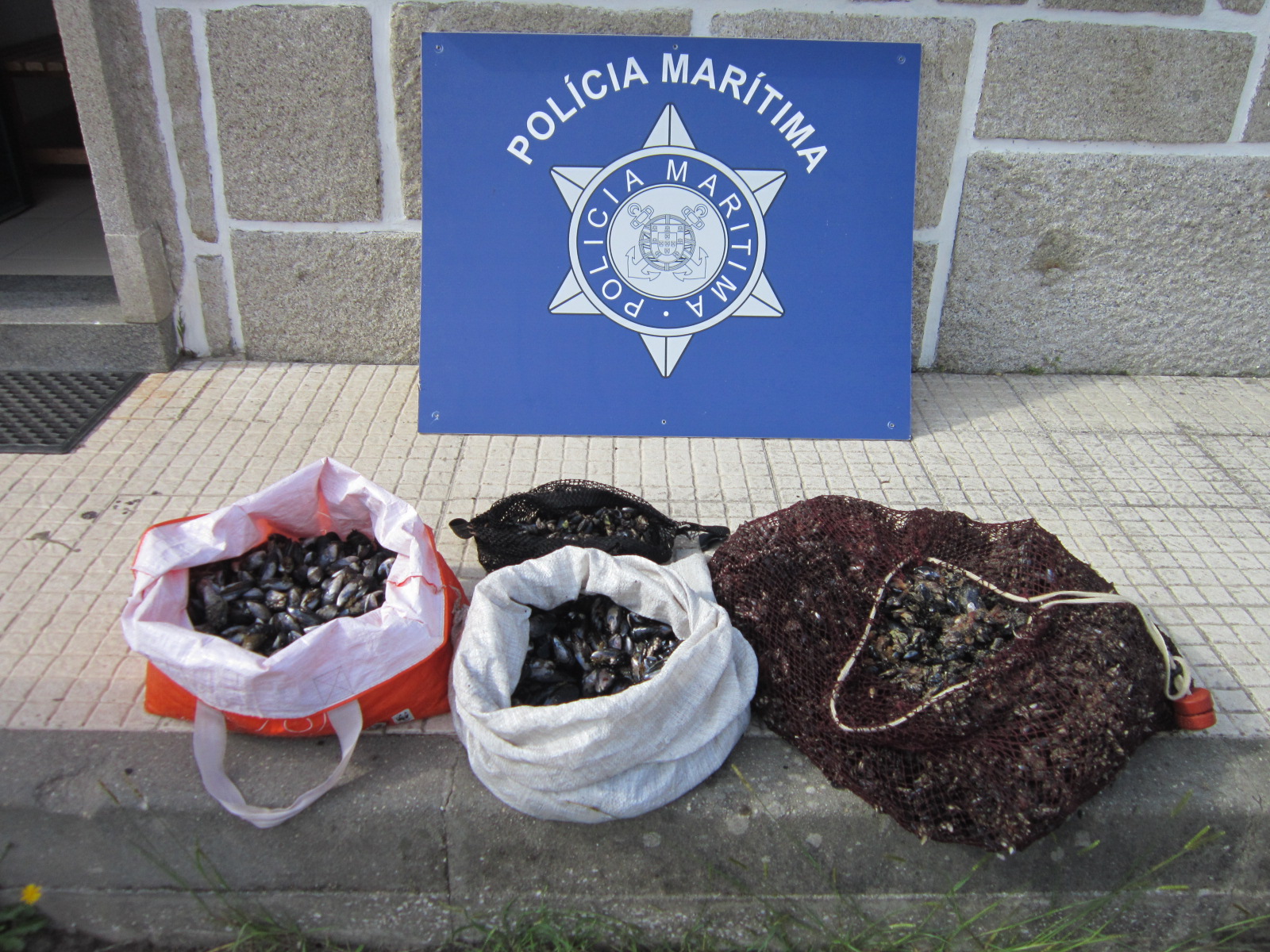 Polícia Marítima de Caminha apreende 39 quilos de bivalves