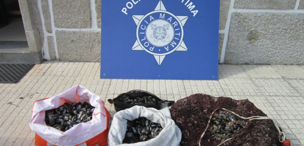Polícia Marítima de Caminha apreende 39 quilos de bivalves