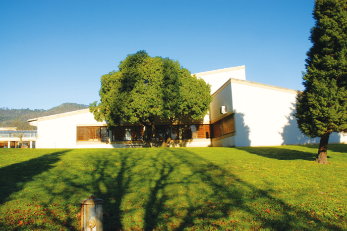Projeto do IPVC que estimula empreendedorismo nas crianças alargado a todo o Alto Minho