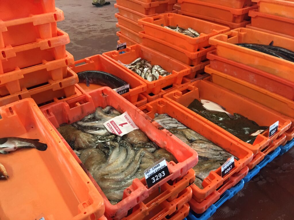Comerciantes voltam a boicotar lota de Viana, Docapesca diz que contratos de abastecimento são legais