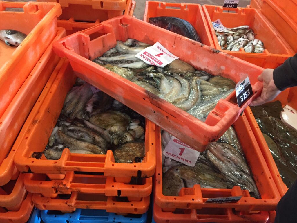 Comerciantes voltam a boicotar lota de Viana, Docapesca diz que contratos de abastecimento são legais