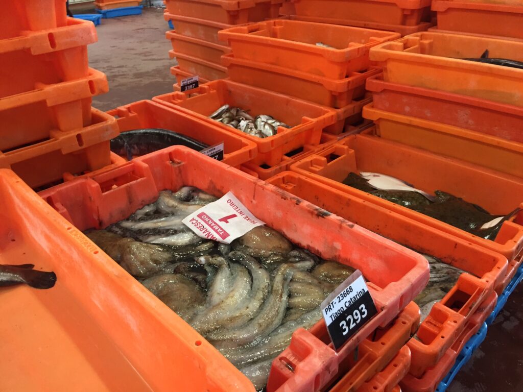 Comerciantes voltam a boicotar lota de Viana, Docapesca diz que contratos de abastecimento são legais