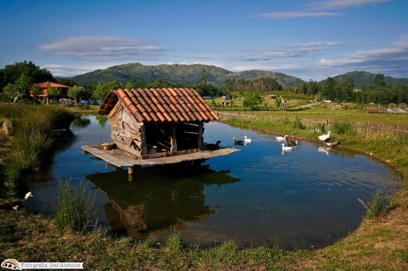 Àrea Protegida de Ponte de Lima faz 16 anos e inicia reflorestação do primeiro de 11 hectares consumidos pelo fogo