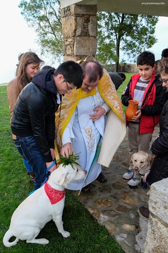 Freguesia de Caminha revive tradição da bênção dos animais domésticos