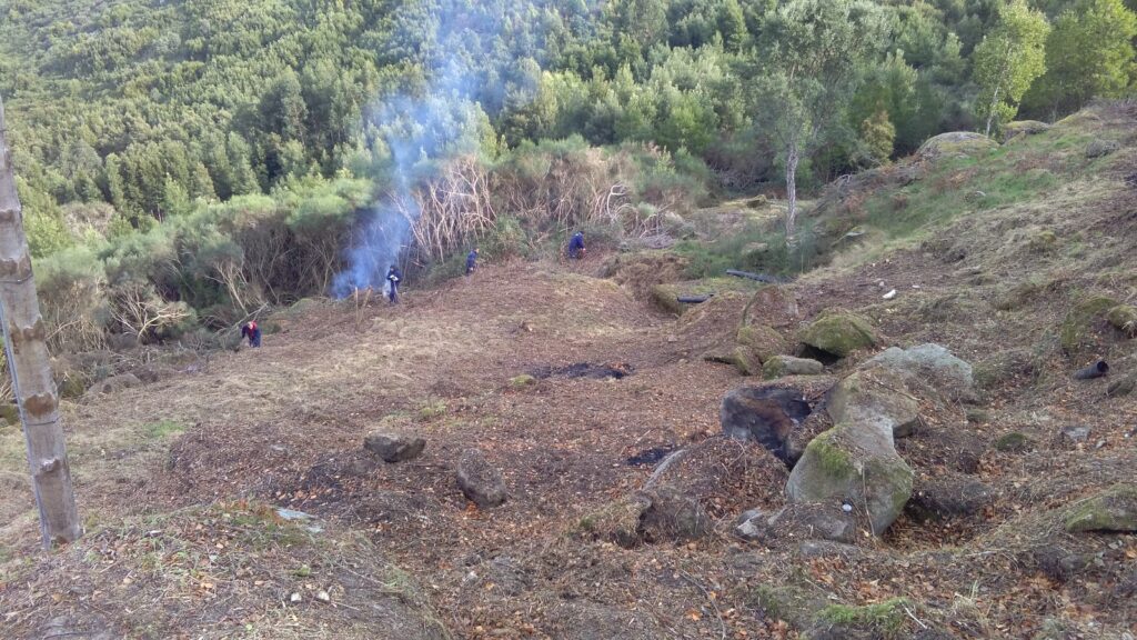 Caminha limpa envolvente do mosteiro de São João d’Arga para prevenir fogos