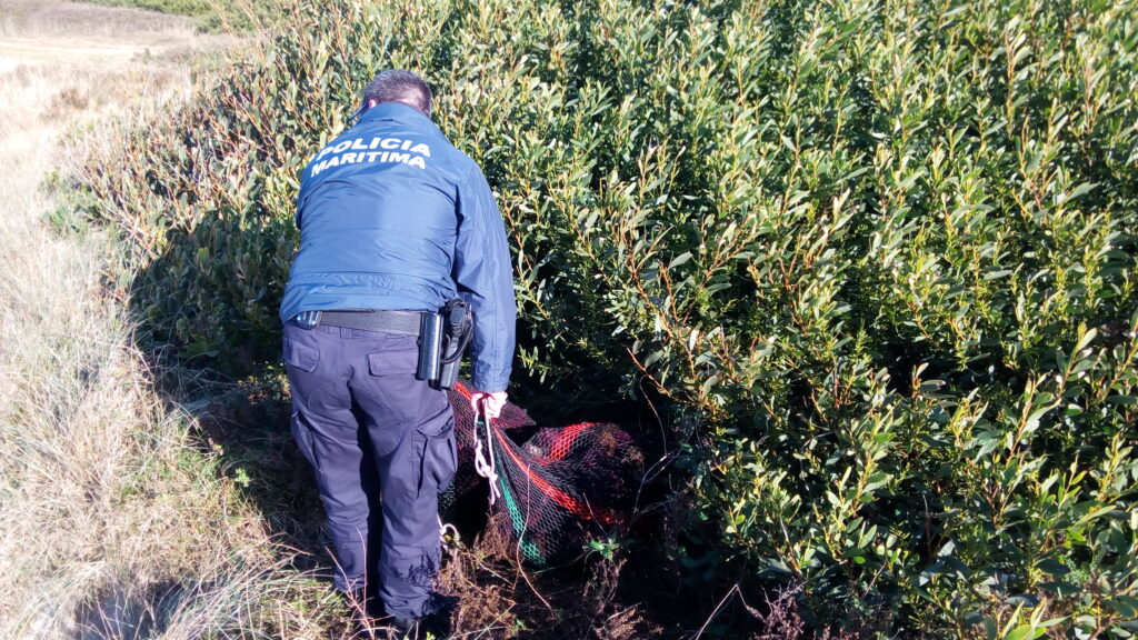 Polícia Marítima de Viana apreende 124 quilos de ouriços do mar, com valor comercial de quase 500 euros