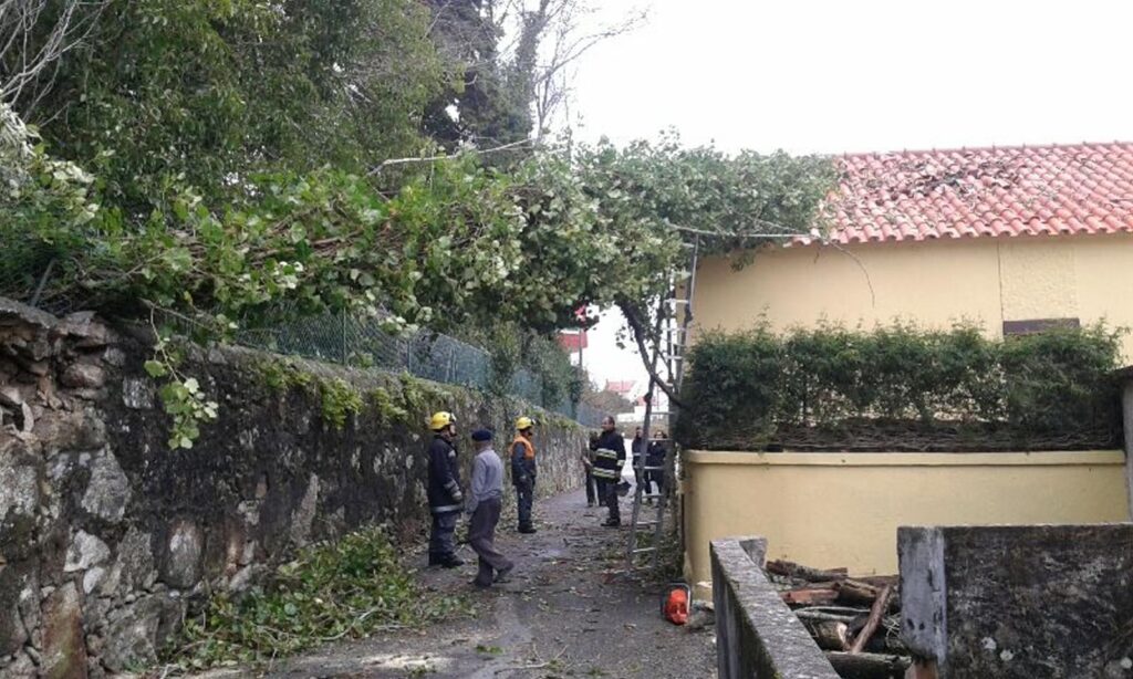 Alvarães: Vento levantou telhados de 12 jazigos que danificaram cerca de 10 campas