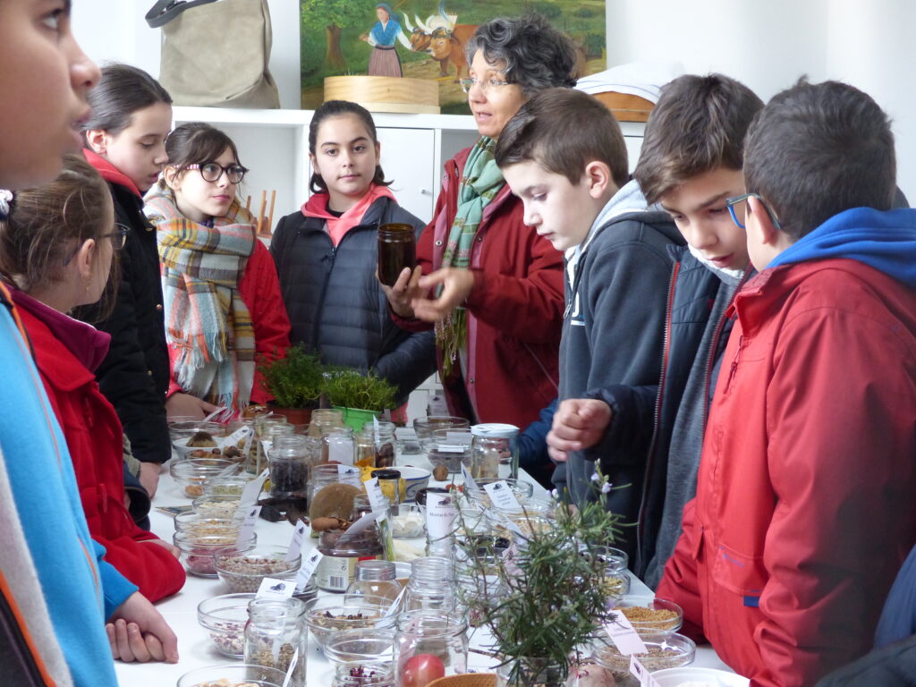Paredes de Coura promove feira de trocas para preservar sementes autóctones