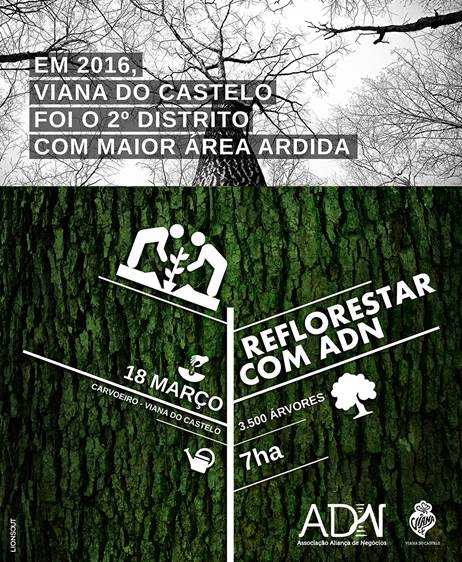 Associação ADN dá 3.500 árvores para reflorestar área ardida em Viana