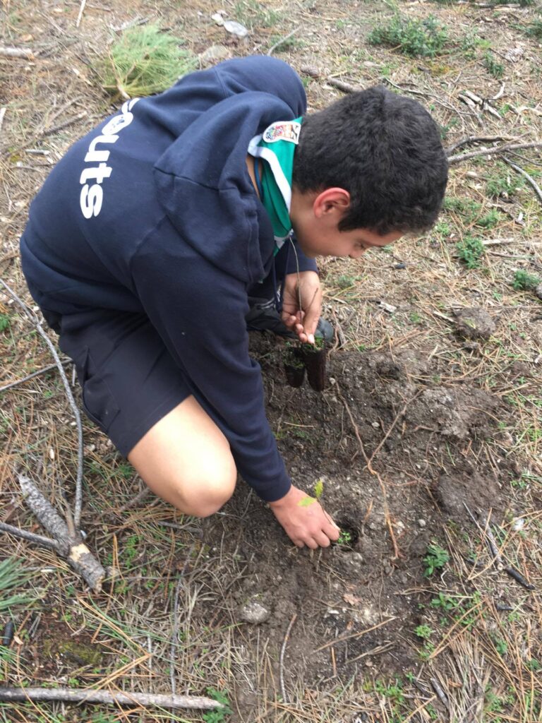 Missão cumprida: 200 escuteiros de Viana plantam 2.000 árvores no Parque Peneda-Gerês