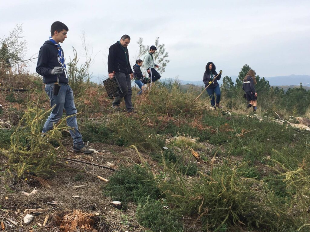 Missão cumprida: 200 escuteiros de Viana plantam 2.000 árvores no Parque Peneda-Gerês