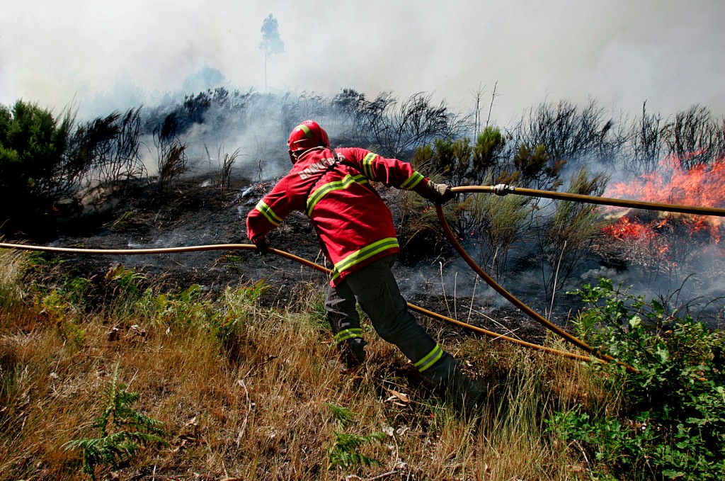 Caminha garante meio milhão de euros de fundos comunitários para prevenir fogos
