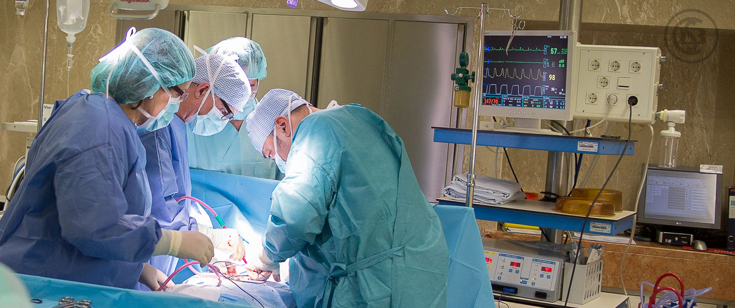 ”Cardiotorácica em Gaia” em exposição no navio hospital Gil Eannes.