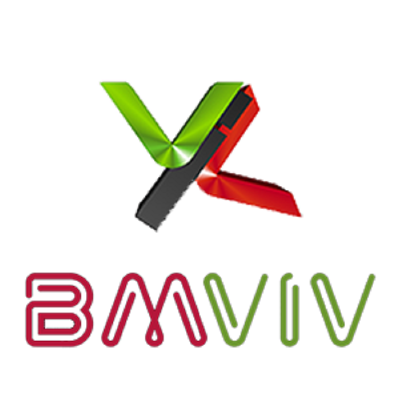 Delegação do Pará em Viana do Castelo a convite da empresa BMVIV