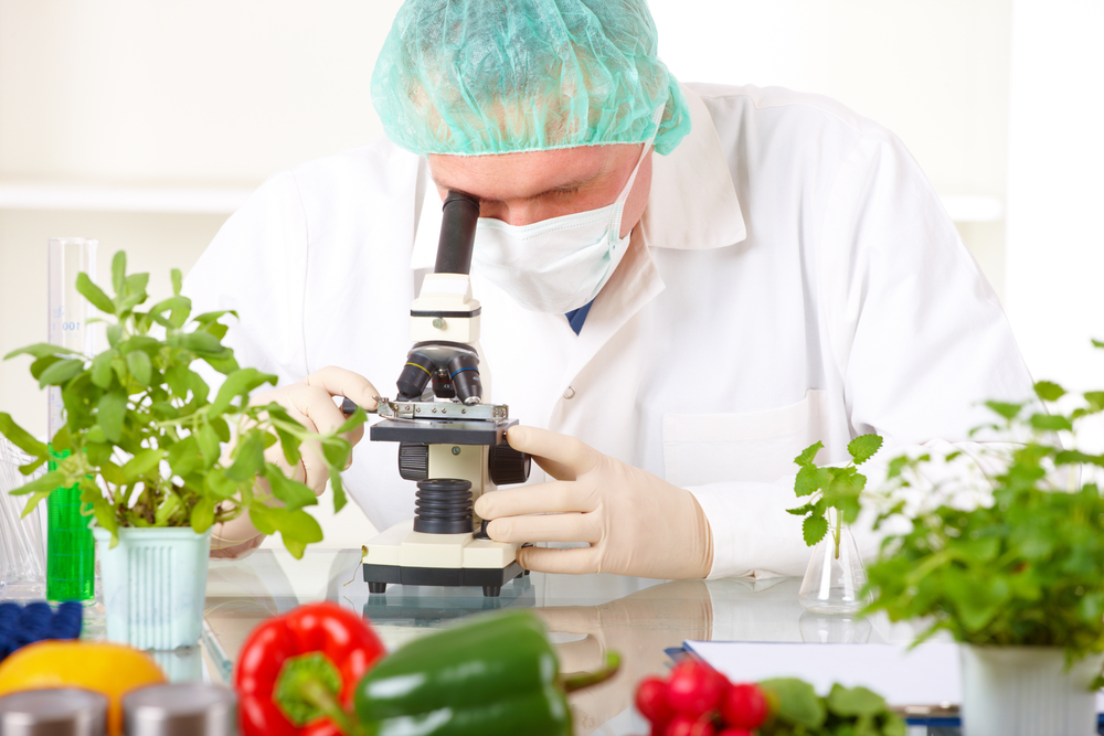 Politécnicos de Leiria, Bragança e Viana lançam licenciatura pioneira com mobilidade em Engenharia Alimentar