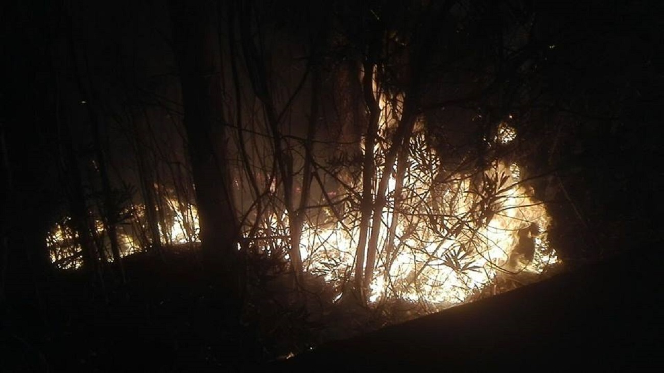 Fogo deflagra em Santa Luzia, no mesmo local, à mesma hora, num espaço de uma semana