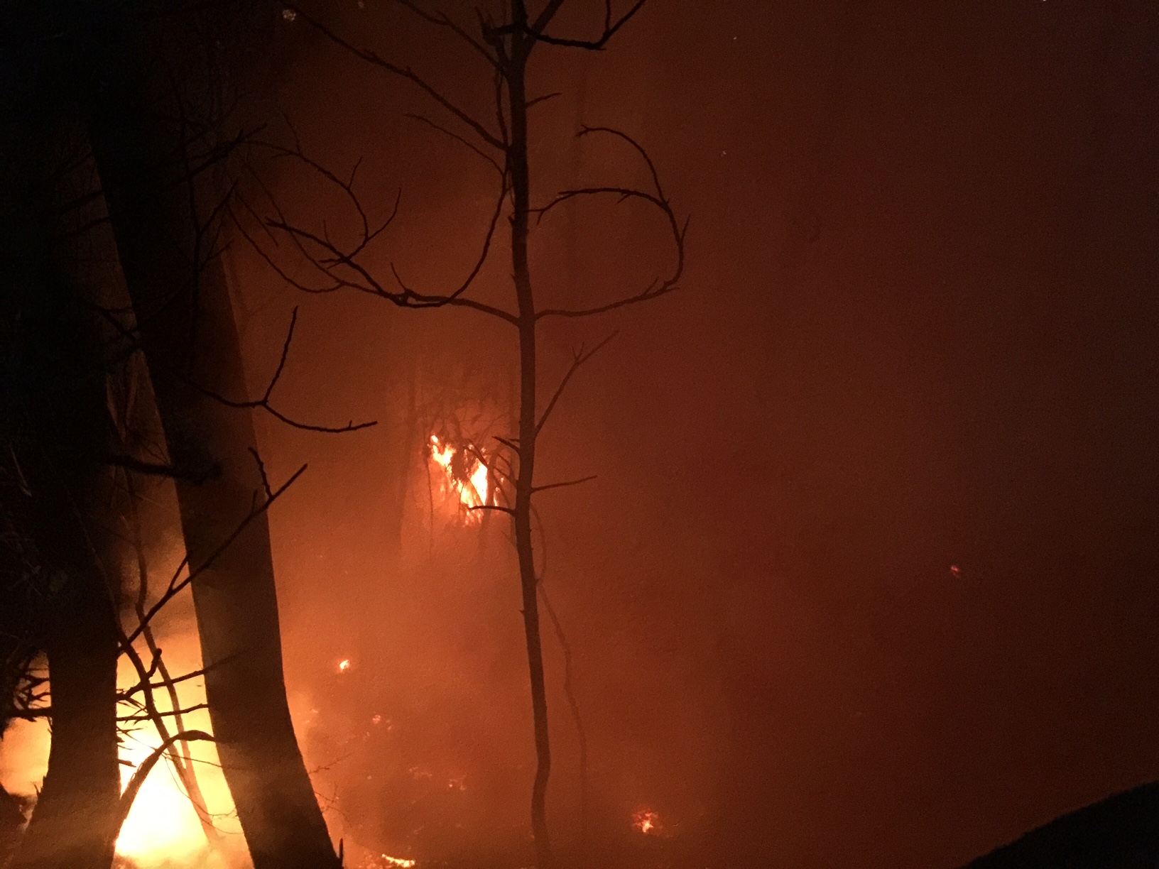 PSP investiga incêndio que deflagrou pouco antes da meia noite desta 3ª feira em Santa Luzia
