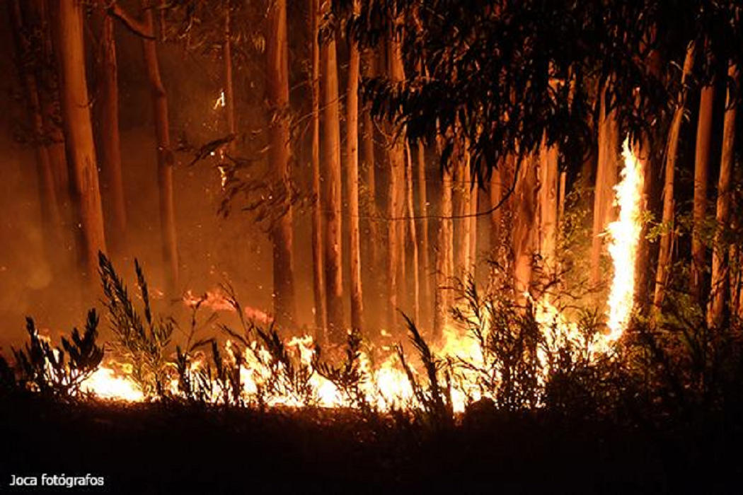Chamas voltam a deflagrar em Santa Luzia