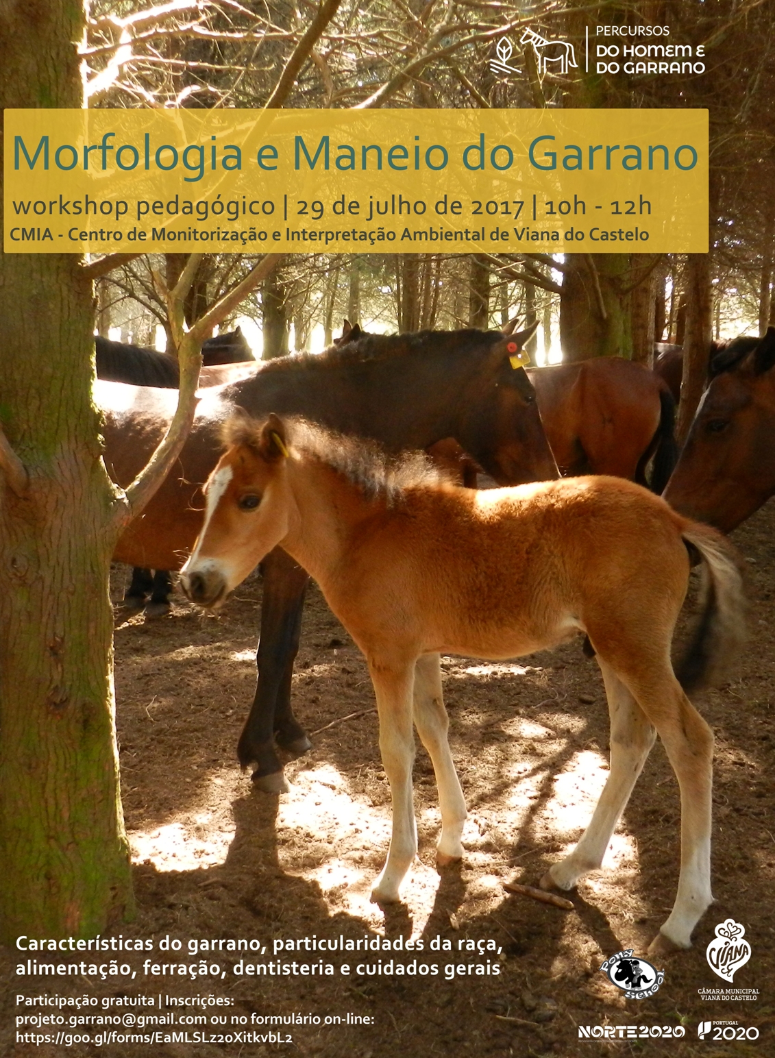 Câmara de Viana promove workshop dedicado à “Morfologia e Maneio do Garrano”